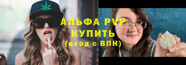 бошки Бородино