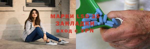 бошки Бородино