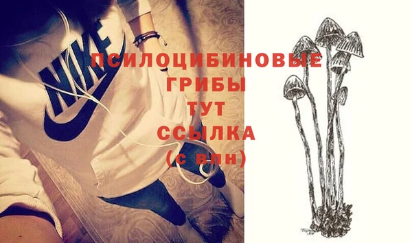 apvp Михайловка